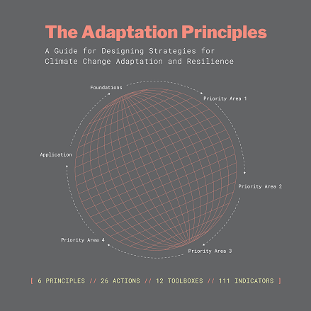 Adaptation Principles square report cover