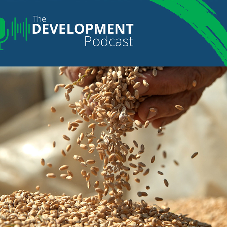 Tackling Food Security: From Emergency to Resilience | The Development Podcast