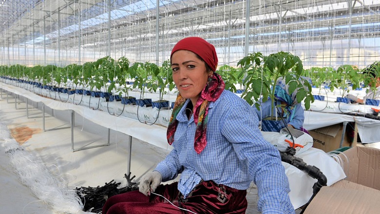Woman at a greenhouse in Uzbekistan, surrounded by horticultural crops