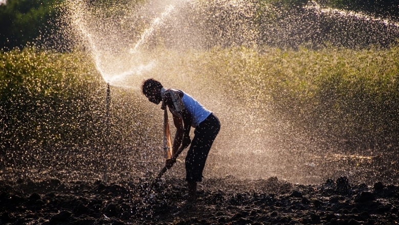 Young Indian farmer digging in a field in front of sprinklers, at sunset