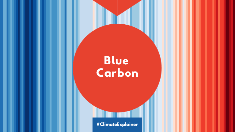 Blue Carbon explainer